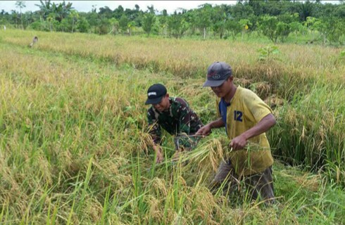 Pasangan YaZa Janji Perbaiki Produktifitas Petani Kabupaten Jayapura