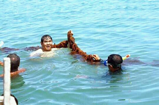 Petani Rumput Laut Kupang Barat Dukung Medah Calon Gubernur